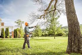 Best Hedge Trimming  in Eldorado At Santa Fe, NM