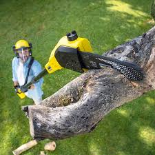 Best Lawn Drainage Solutions  in Eldorado At Santa Fe, NM